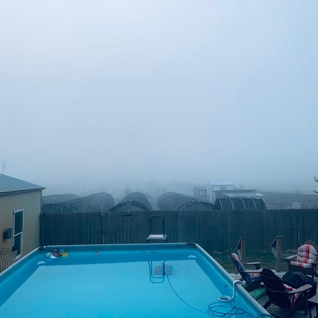 We woke up to thick fog this morning, thicker than I have seen it before.