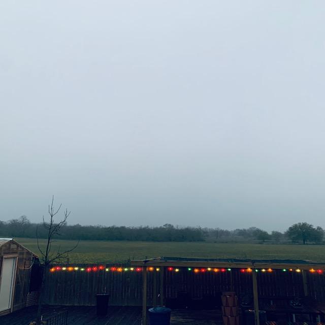 It was a bit foggy this morning. Here is a good look at our privacy fence that the deer in the field beyond never jump over.