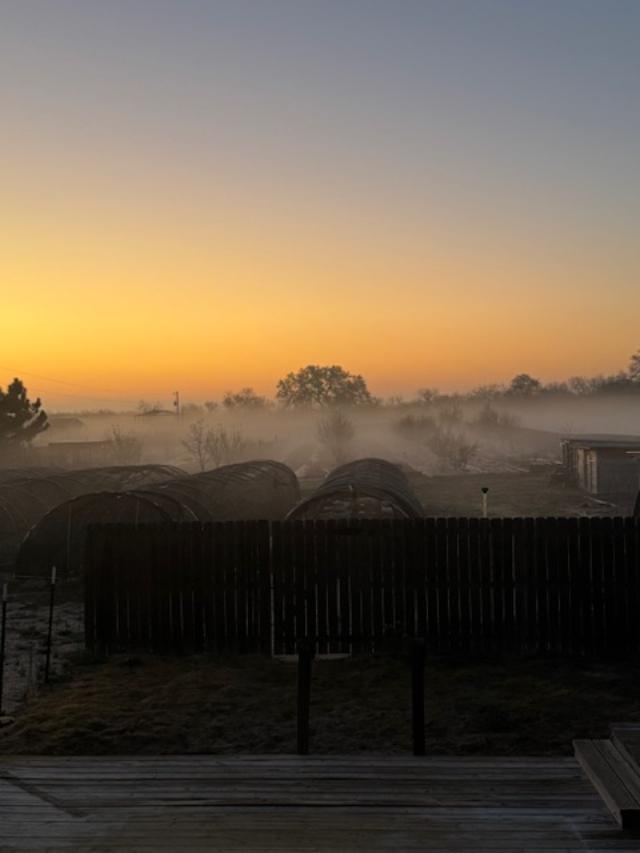 Look at the fog! Isn't it so cool?