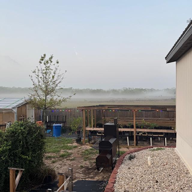 Fog over the fence from my greenhouse and plants.