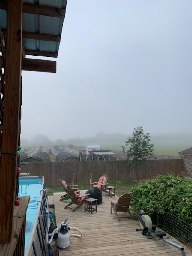 It had been clear but the fog moved in after 8am.