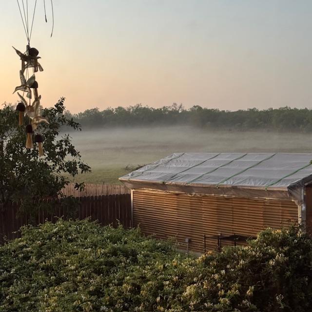 There is a lot of fog this morning. It will soon burn off. My honeysuckle is blooming and the flowers smell so good.