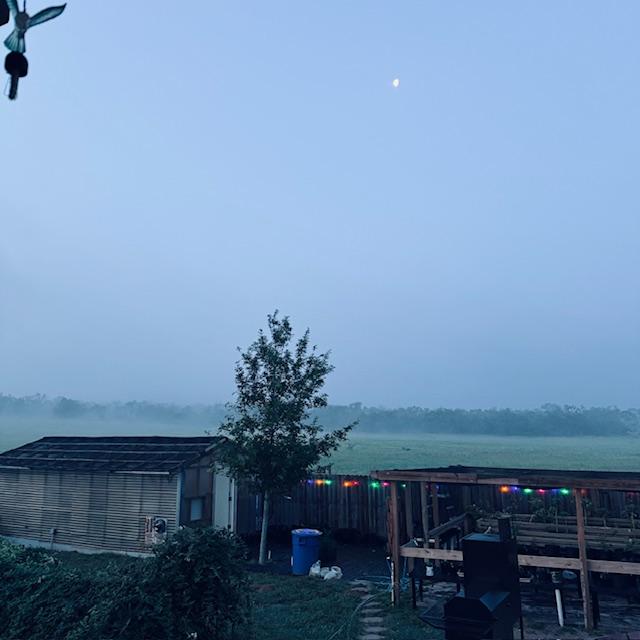 There is thick fog this morning because it is so humid. Note the moon above the back deck.