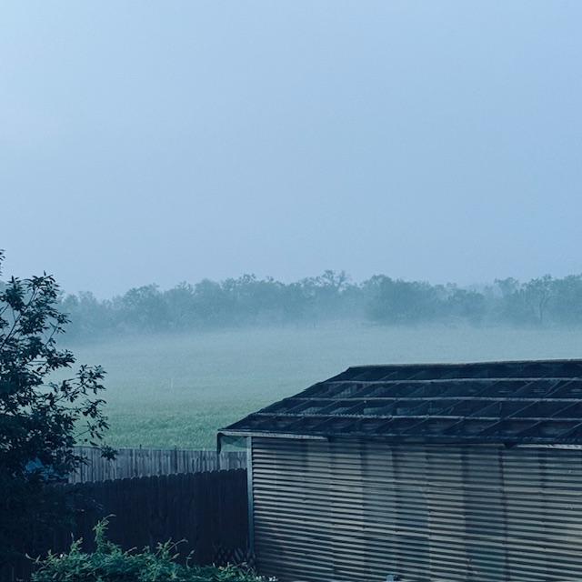 It poured yesterday so it is super humid today which created the fog this morning. This is my greenhouse which still has not been fixed from the hail.