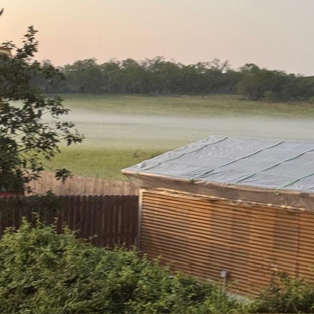 It's another foggy field morning here on the farm. It will soon burn off. Today the temp will soar to 107°--insane!