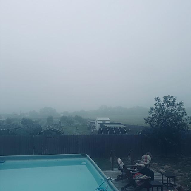 The fog was so thick this morning.