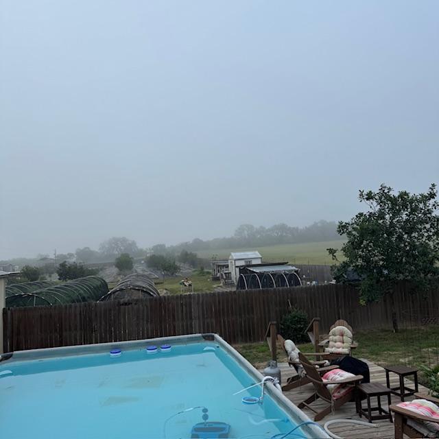 The orchard trees are fairly clear but back by the big oak, it is foggy!