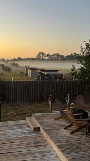 Fog in our field this morning...