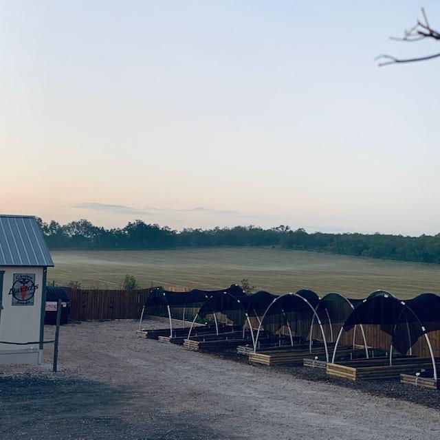 This morning it was 67° and cool. You can see a band of fog running out back for the first time in a very long time!