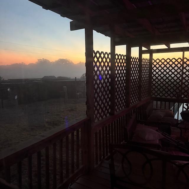 It was foggy when I got up today but the fog quickly burned off after the sun rose.