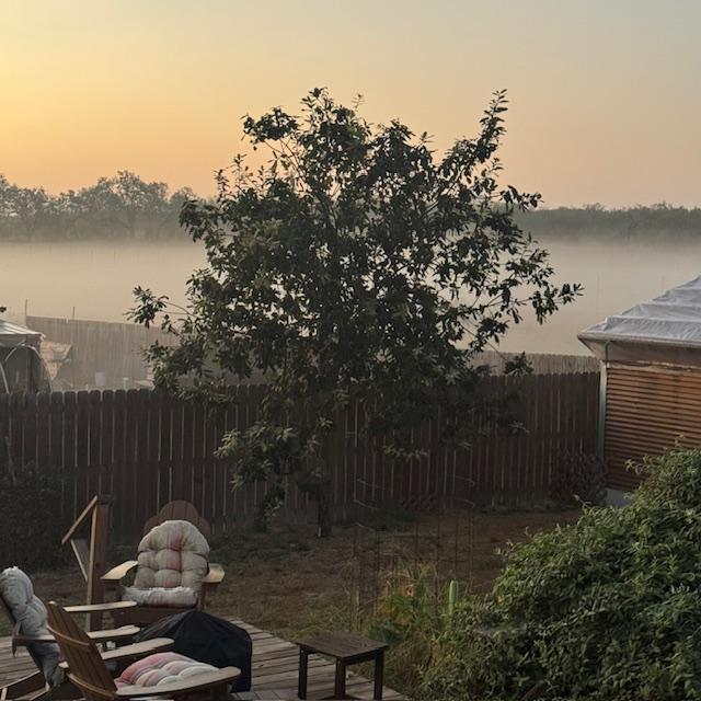 Just look at that thick fog behind the tree. I love it when the weather does this out here but it won't last for long.