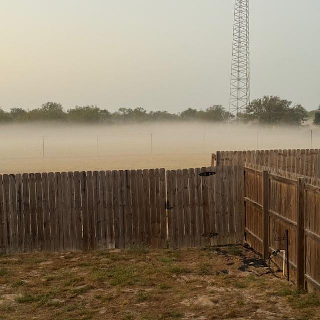 Fog in front of the cell tower close to the road.