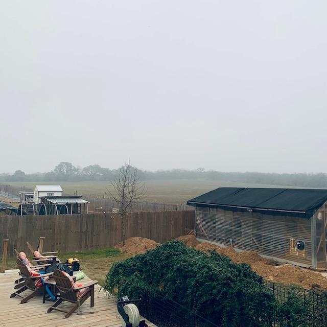 It was foggy this morning! You can see our back deck, my greenhouse, and some dug up sewage lines that will be worked on tomorrow.