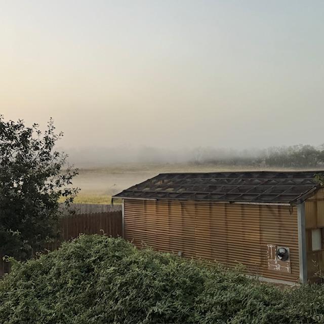 This is my personal greenhouse in the backyard. See the fog in the field over the fence.
