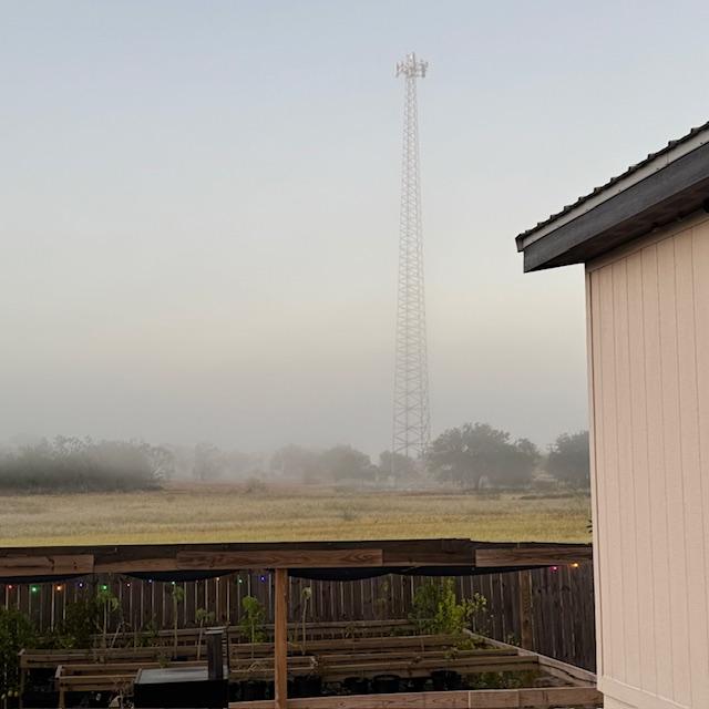 The fog looks really good by the cell tower. I did not see any deer in the field this morning eating pollinator garden seeds.