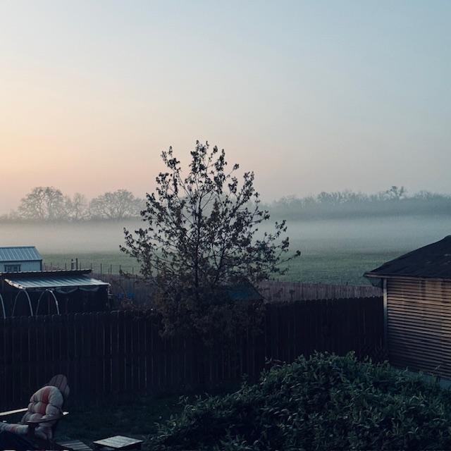 fog1030524 fog1030524