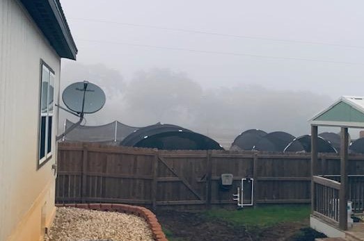 57° and foggy. I am surprised no one called in. I'm glad I did not have to drive in it.