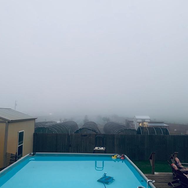 fog120522c fog120522c