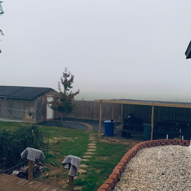 Close up is not bad.