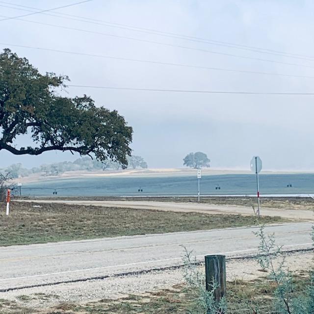 Now the fog is lifting off of the grass farm across the way from us.