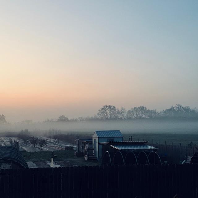 fog2030524 fog2030524