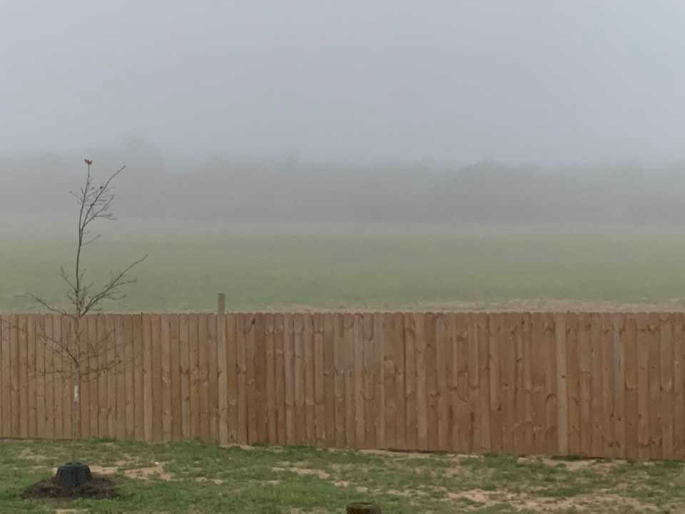 Spring on the farm was so dense this morning that you could barely see our beautiful view.