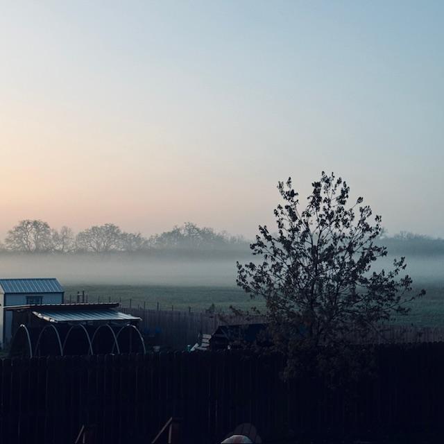 fog3030524 fog3030524