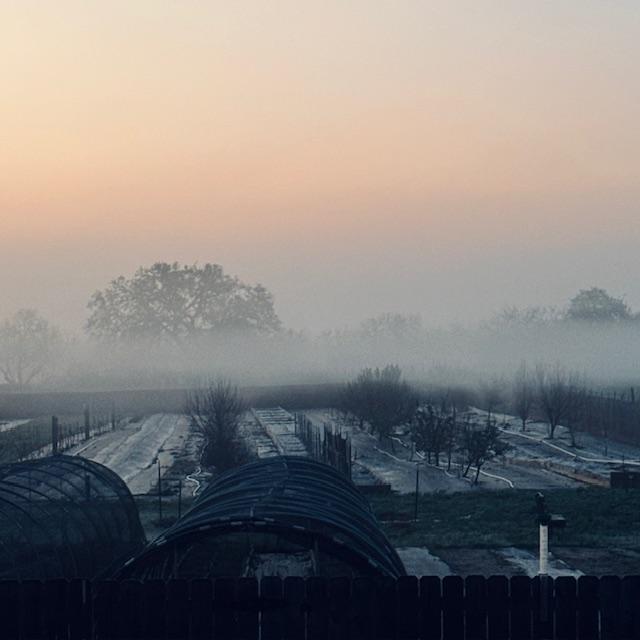 fog4030524 fog4030524