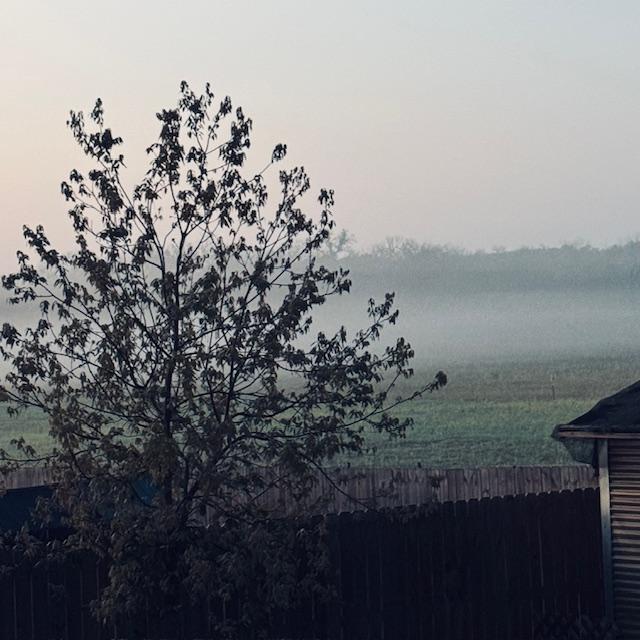 fog5030524 fog5030524