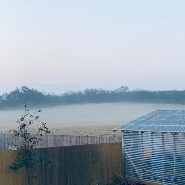 The field of fog next door. This is the hay field. It is always full of fog when we get it.