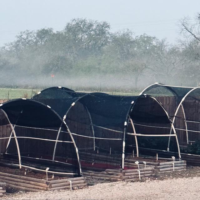 fog6030524 fog6030524