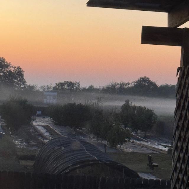 Another band of fog across that backyard this morning. So cool!