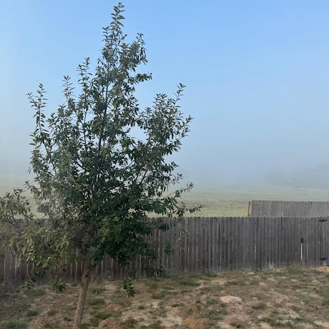 The cell tower by our house appears to be gone in the fog.