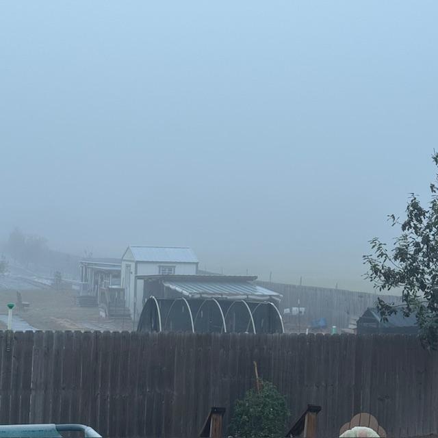 Here are the chicken coop and feed shed but the new property can't be seen at all.