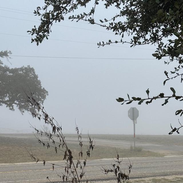 The grass farm is over there and they are drilling but all we can see is a blanket of white fog this morning.