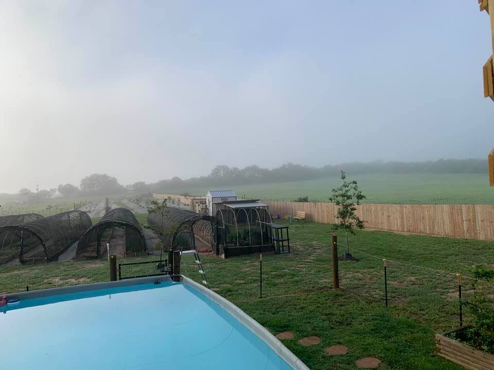 It was very hazy this morning when I fed the animals.