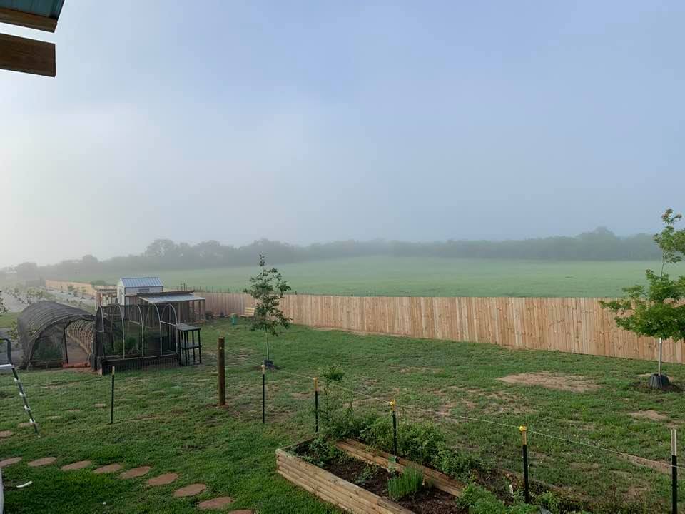 See the haze in the air. It was so humid this morning after all of the rain we had this week.