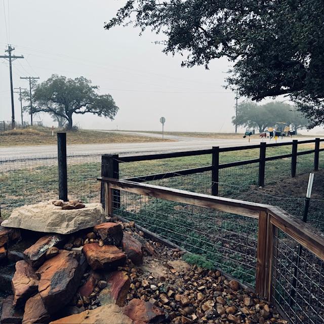 I couldn't see the grass farm at all in the fog this morning.