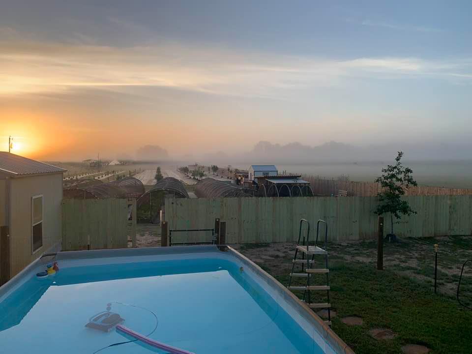 Note the fog going on in the back as the sun comes up. Everything looked so awesome.