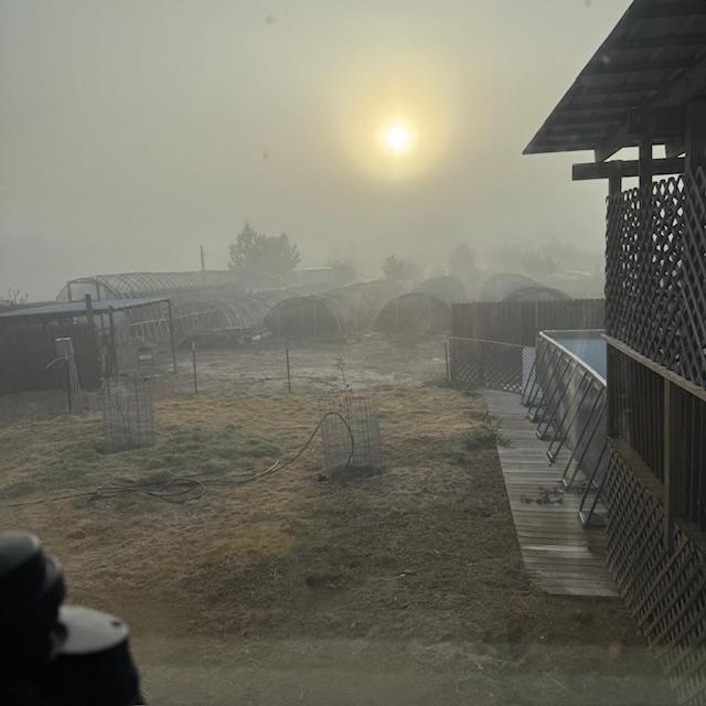 It was a foggy sunrise this morning.