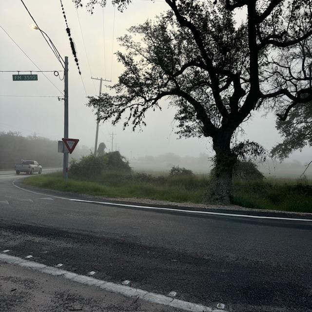 This morning, it was foggy in Pleasanton.