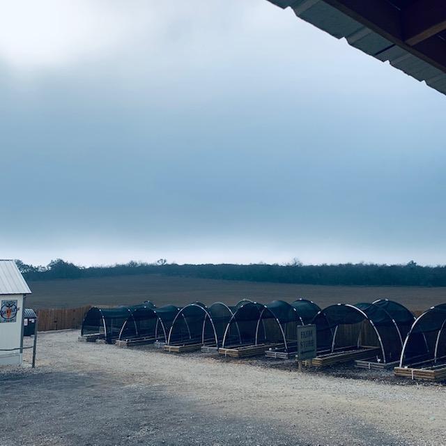 The sky looks cool while the fog is lifting this morning.