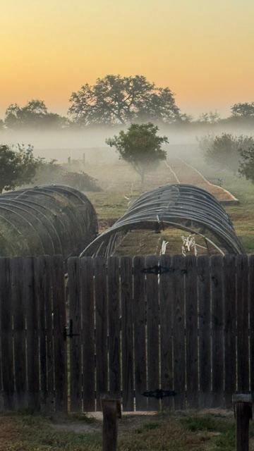 The thick fog is getting closer...