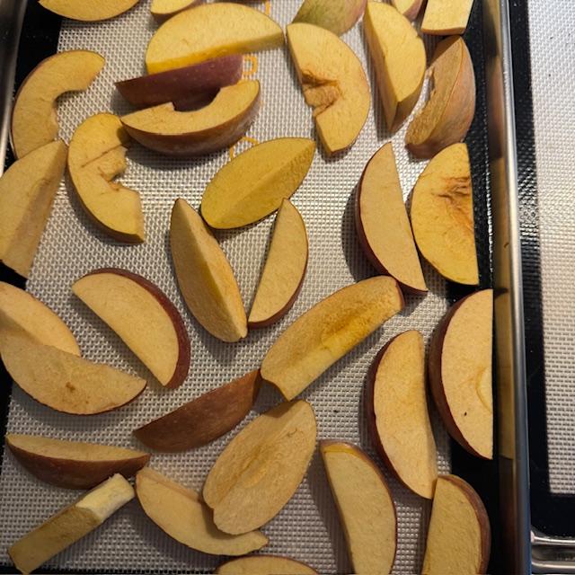 This was my first time to freeze dry apples and they make a nice snack like this.
