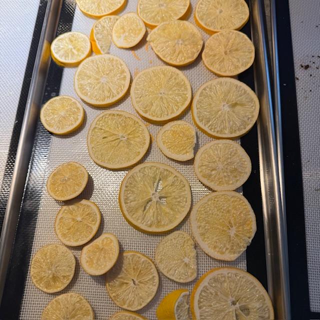 The freeze dried lemons can be ground up into lemon powder or I can drop a slice in a hot cup of tea.