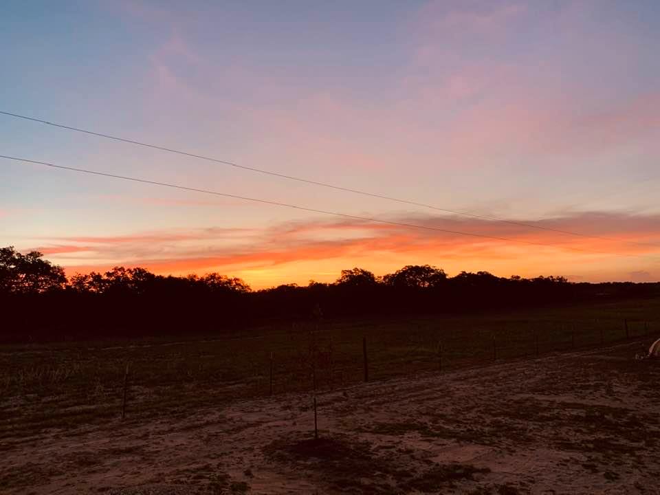I let the dogs out this morning and I got to see this gorgeous, colorful view of the sun's first light hitting our farm. We haven't had a good sunrise out here in a long time! I let the dogs out this morning and I got to see this gorgeous, colorful view of the sun's first light hitting our farm. We haven't had a good sunrise out here in a long time!