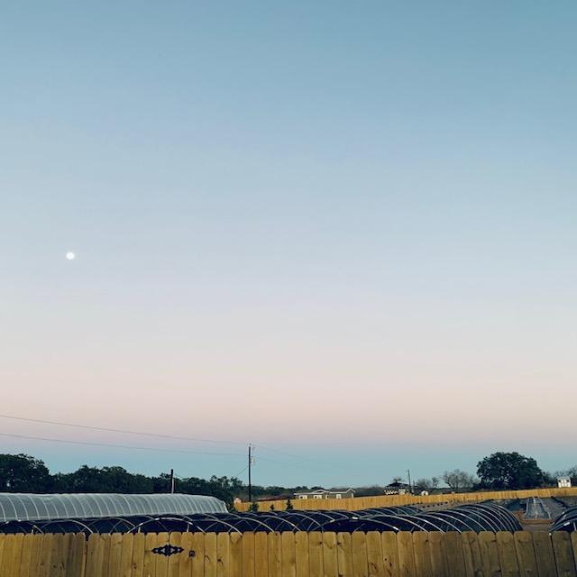 There is a full moon tonight, although my calendar says it won't be officially full until Wednesday, 2/16. Isn't it so pretty?