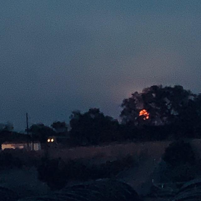 Planting by the moon, seen behind the tree in August of 2023, can affect your garden.