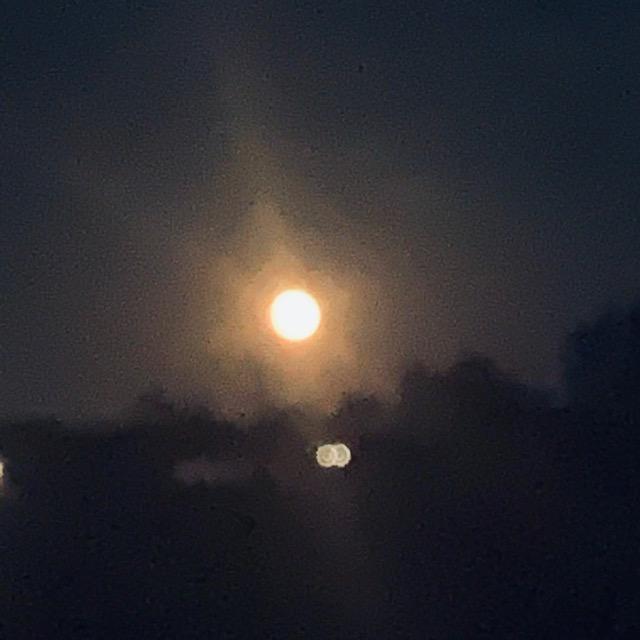 I had to zoom in to the left of the oak tree after 9:30pm to catch the moon coming up tonight.