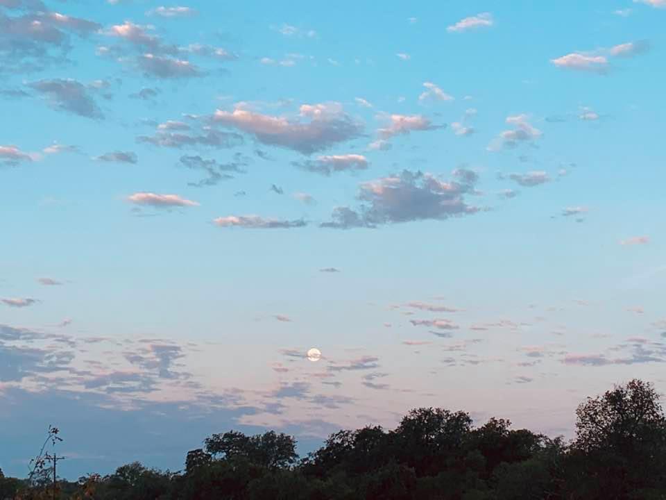Look closely and you can see the beautiful full moon before 7am this morning. I saw this when I went to feed the chickens.